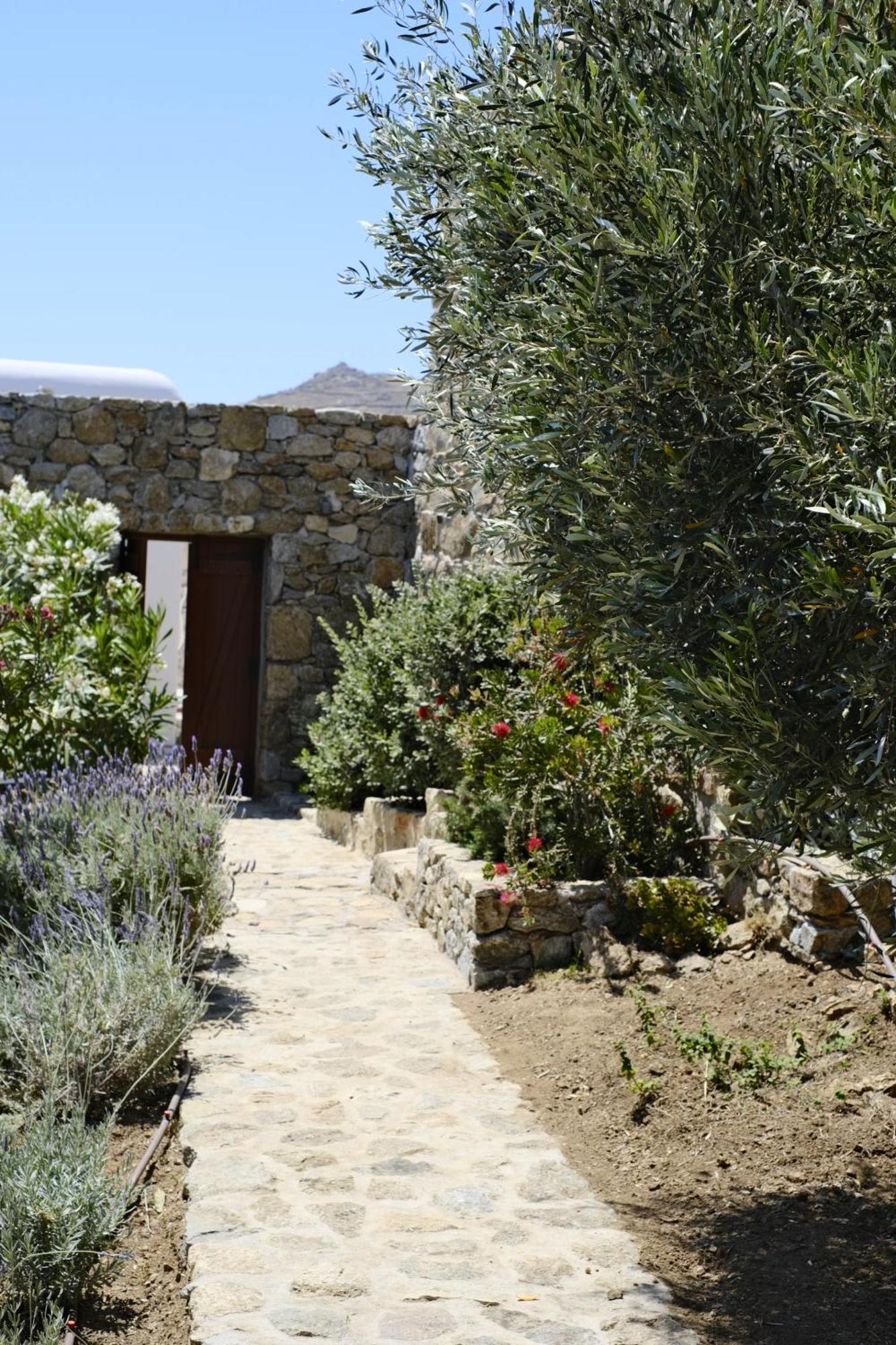 Villa Nautilia - Luxury Suites And Cottages Kalafati Exteriör bild